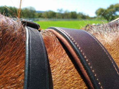 amerigo custom breastplate padding on wither