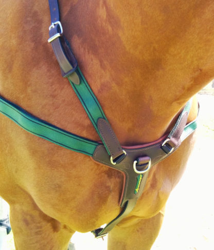 amerigo custom combination breastplate front view