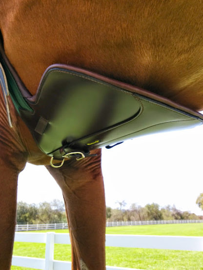 amerigo leather belly guard on horse