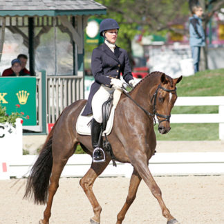 Dressage Pads