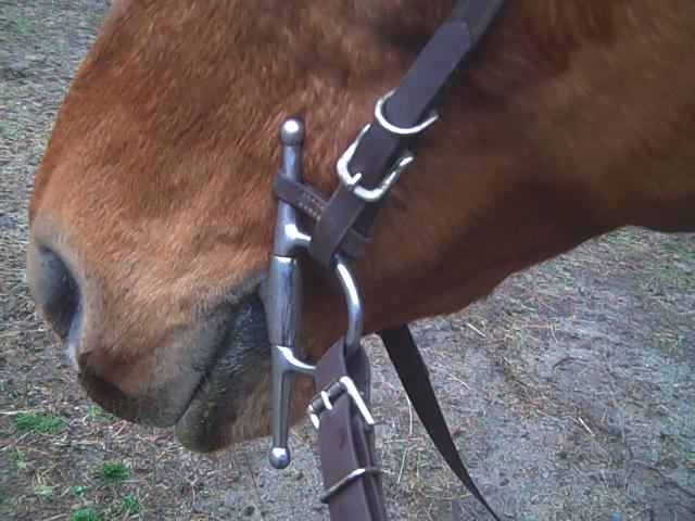 Details about   Shires Hanging Cheek Snaffle 5.5 inches
