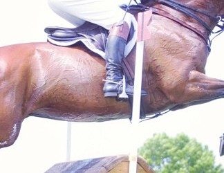 Eventing Saddles: Dressage, Jumping and Cross Country
