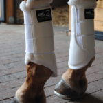 Dressage Sport Boots 2