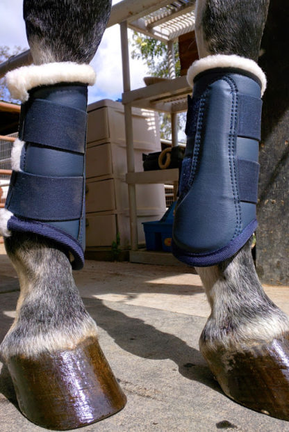 dressage boots navy blue