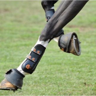 Eventing Bell Boots
