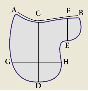 Antares Saddle Flap Size Chart