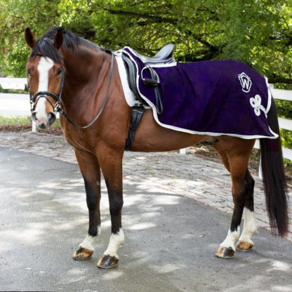 purple wool riding blanket