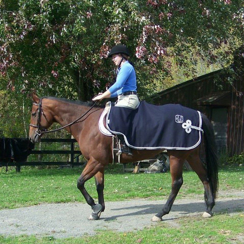 Custom Wool Quarter Sheet Riding Blanket or Exercise Rug