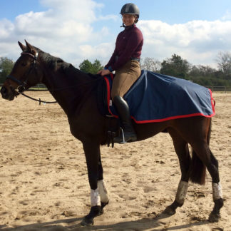 Horse Blankets, Sheets and Coolers