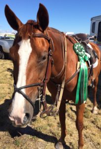 Rubber Figure 8 Noseband