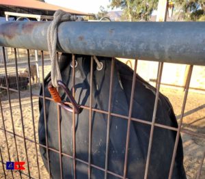 carabiner to hold slow feed hay bag