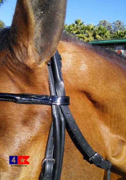 rolled-double-bridle-amerigo