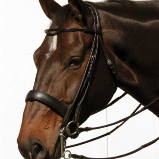 rolled double bridle