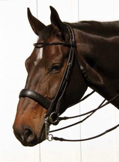 rolled double bridle