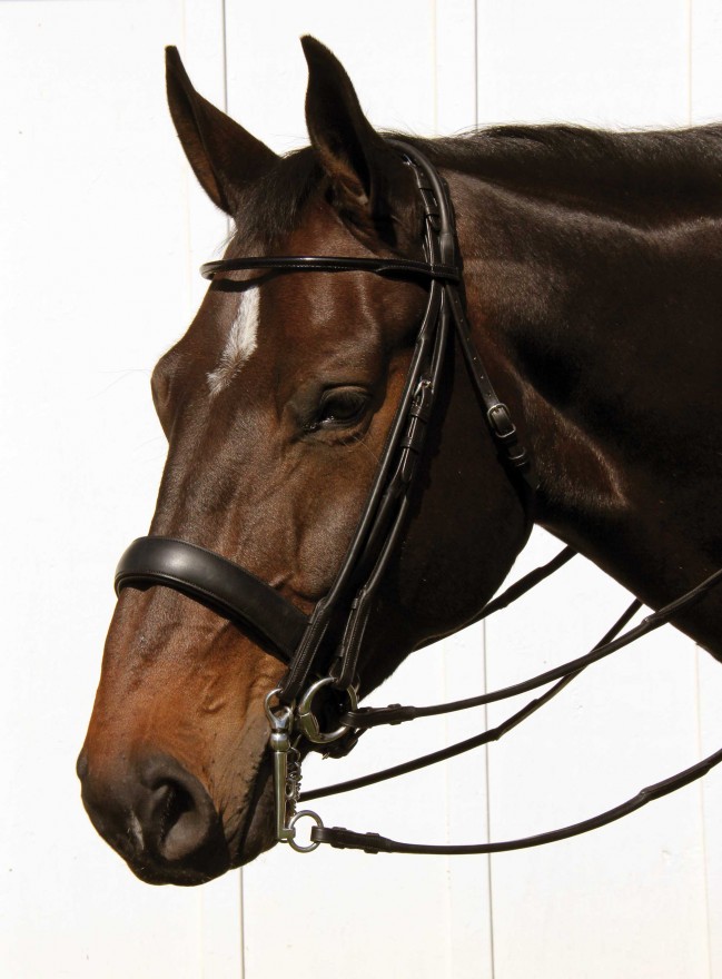 Plain leather reins for bridle dressage reins for weymouth brass leather 
