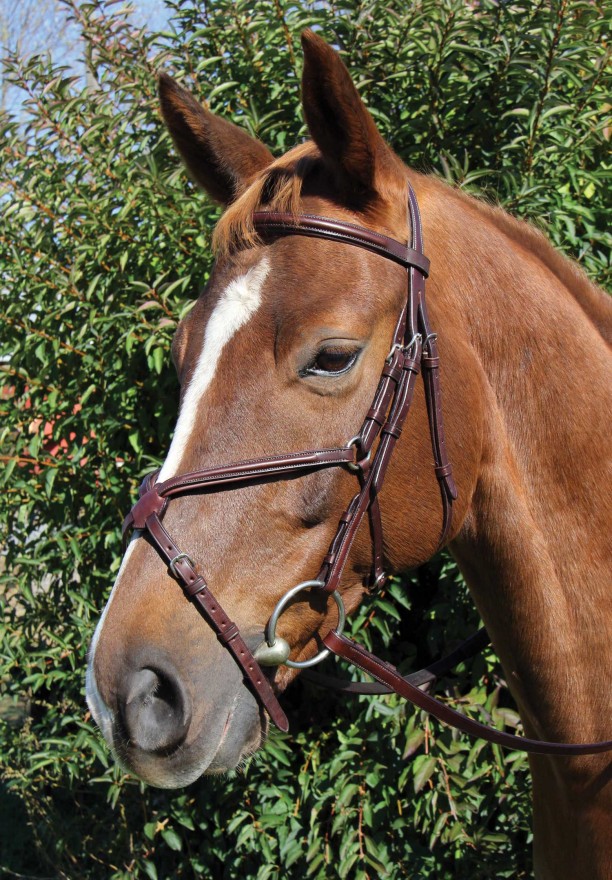 bridle figure horse vespucci raised brown voyager bridles plain cob eventing gear four cheek pieces hook reins