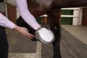 sore-no-more-poultice-hoof