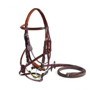 Vespucci figure 8 bridle