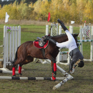 Equestrian Riding Helmets