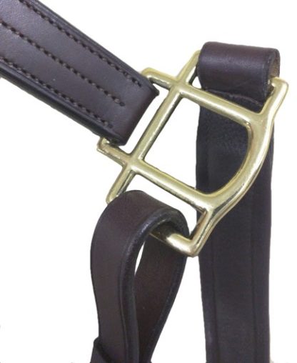 brass hardware on halter