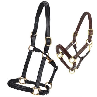 vespucci show halters