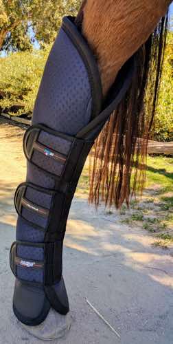 Horse Travel Boots With Knee Protection By Premier Equine | atelier ...