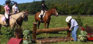 Field Jumps Timber Cup 