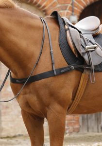 polo breastplate