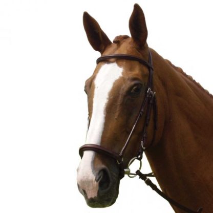 drop noseband