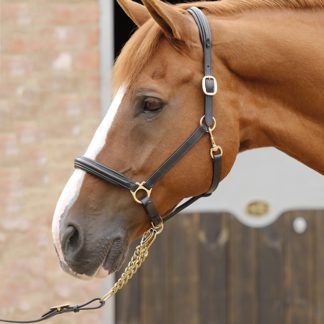 padded leather halter