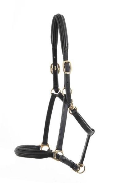 padded leather halter