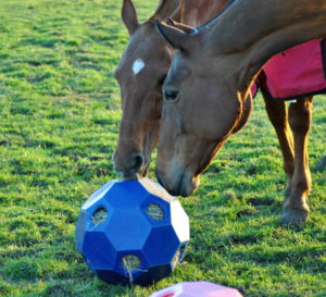 hay play feeder