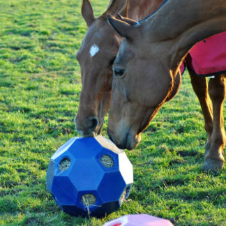 hay play feeder