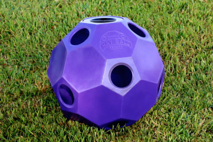 slow feed hay ball purple