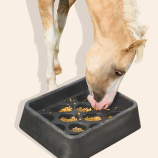horse grain slow feeder