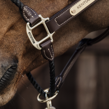 Leather and Rope Horse Halter by Kentucky Horsewear - Four Star Eventing  Gear