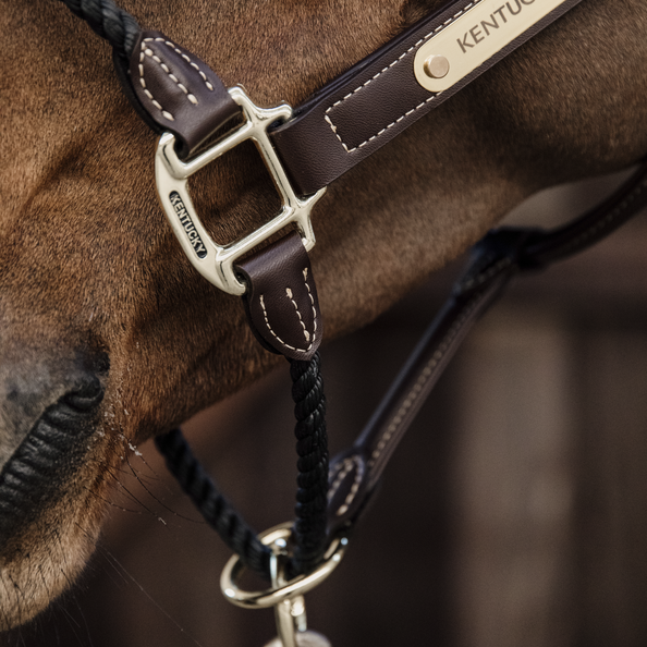 Leather and Rope Horse Halter by Kentucky Horsewear