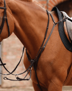 PEI hunter breastplate
