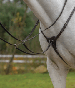 three point breastplate avignon