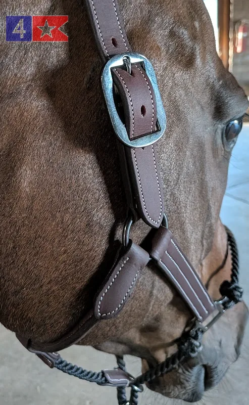 hybrid-halter