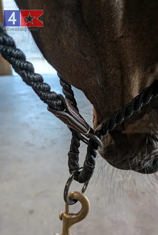 hybrid-training-halter